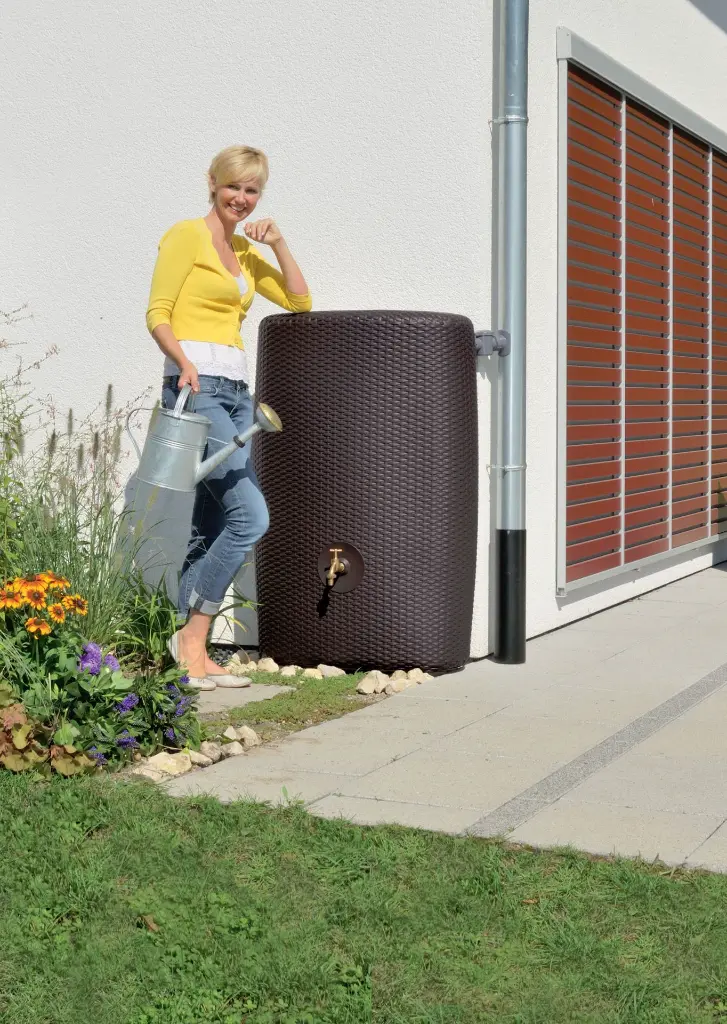 PMSU300M - BIS4.webp