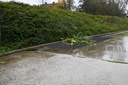 image_TDH101305_17169_0