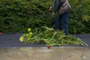 image_TDH101305_17169_5