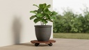 image_R059R_3469_0