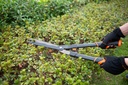 image_KE60211_2447_3