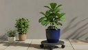 image_R080R_3479_0
