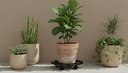 image_R064R_3474_0