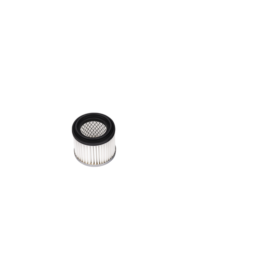 Ash filter